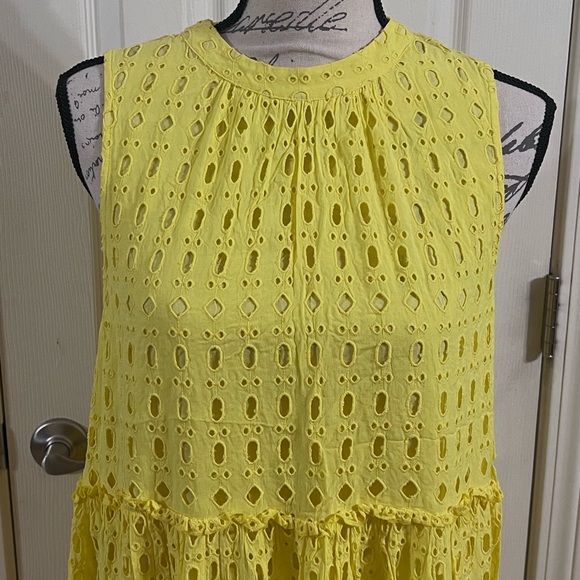 Lilly Pulitzer Indira Eyelet Swing Mini Dress - Picture 4 of 11